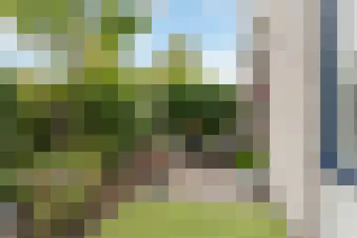 Clara Peeterslaan 1 Bilthoven thumbnail 27