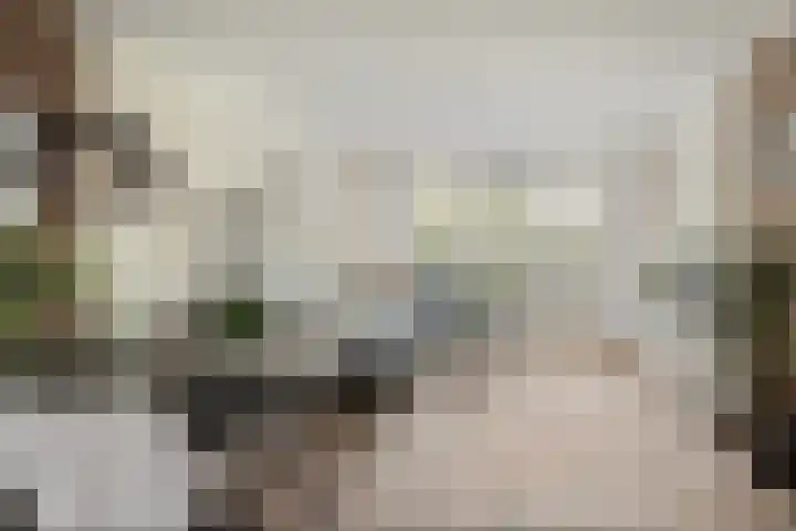 Clara Peeterslaan 1 Bilthoven thumbnail 5