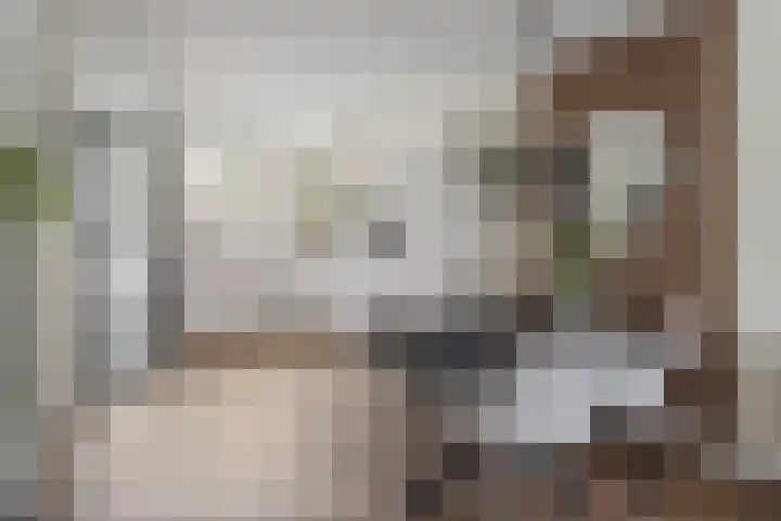 Clara Peeterslaan 1 Bilthoven thumbnail 9