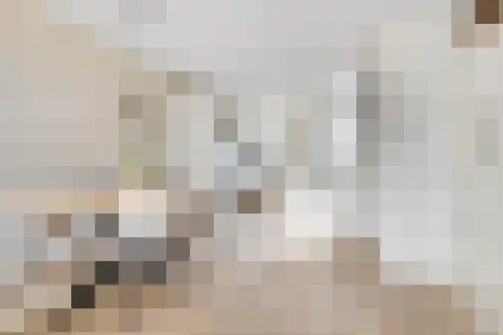Clara Peeterslaan 11 Bilthoven thumbnail 11
