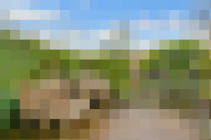 Clara Peeterslaan 11 Bilthoven thumbnail 13
