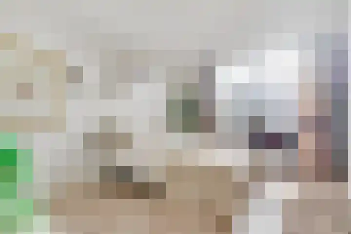 Clara Peeterslaan 11 Bilthoven thumbnail 16