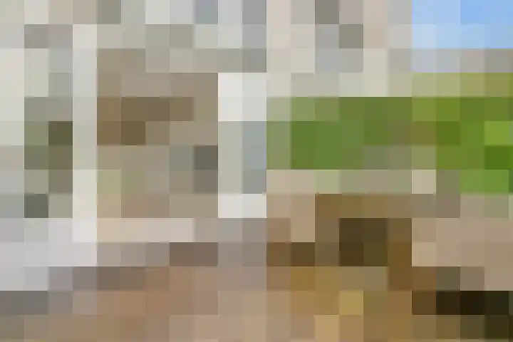 Clara Peeterslaan 11 Bilthoven thumbnail 19
