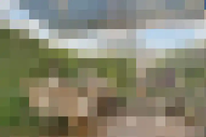 Clara Peeterslaan 11 Bilthoven thumbnail 20