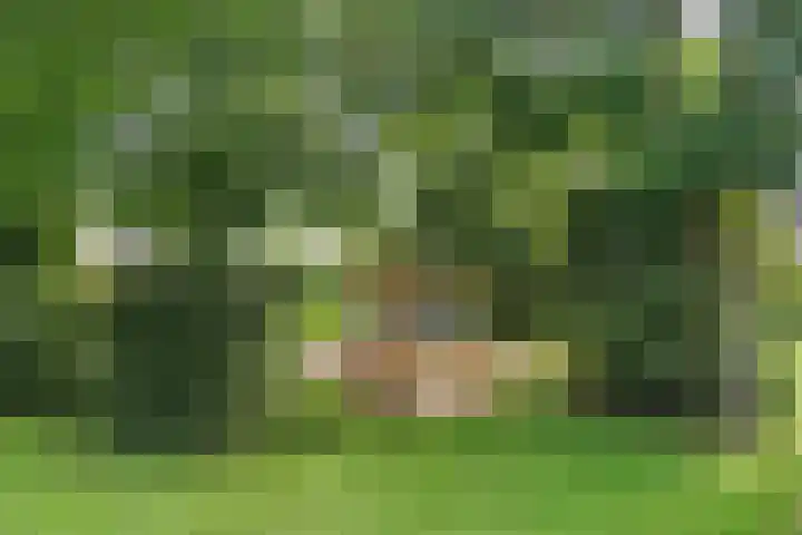 Clara Peeterslaan 11 Bilthoven thumbnail 21