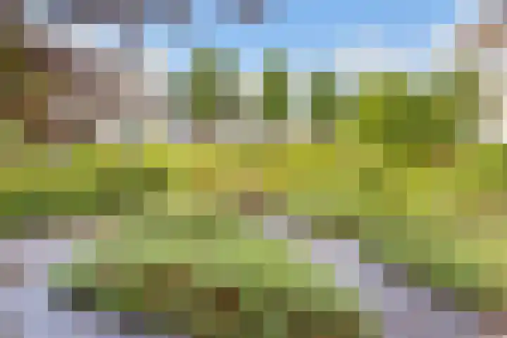 Clara Peeterslaan 11 Bilthoven thumbnail 23