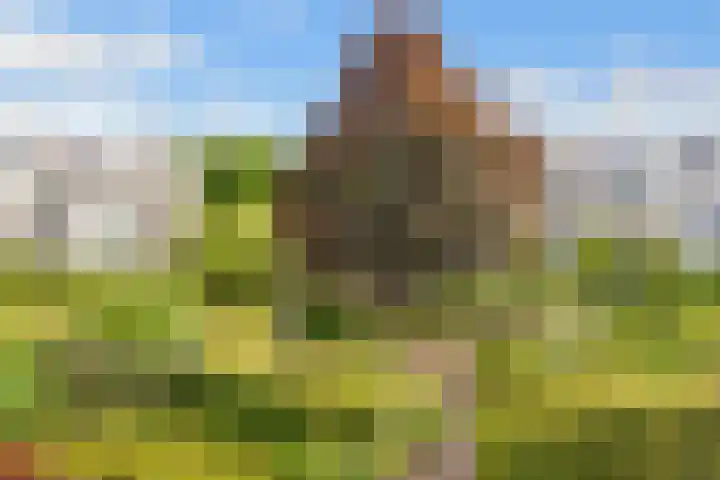 Clara Peeterslaan 11 Bilthoven thumbnail 24