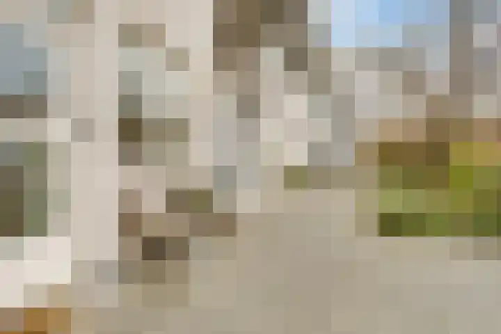 Clara Peeterslaan 11 Bilthoven thumbnail 4