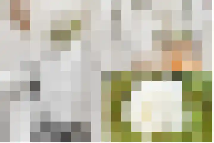 Clara Peeterslaan 11 Bilthoven thumbnail 6