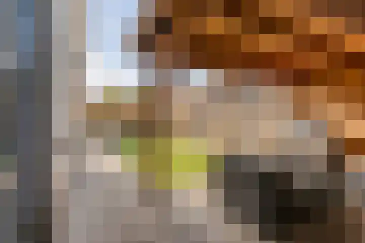 Clara Peeterslaan 12 Enschede thumbnail 42
