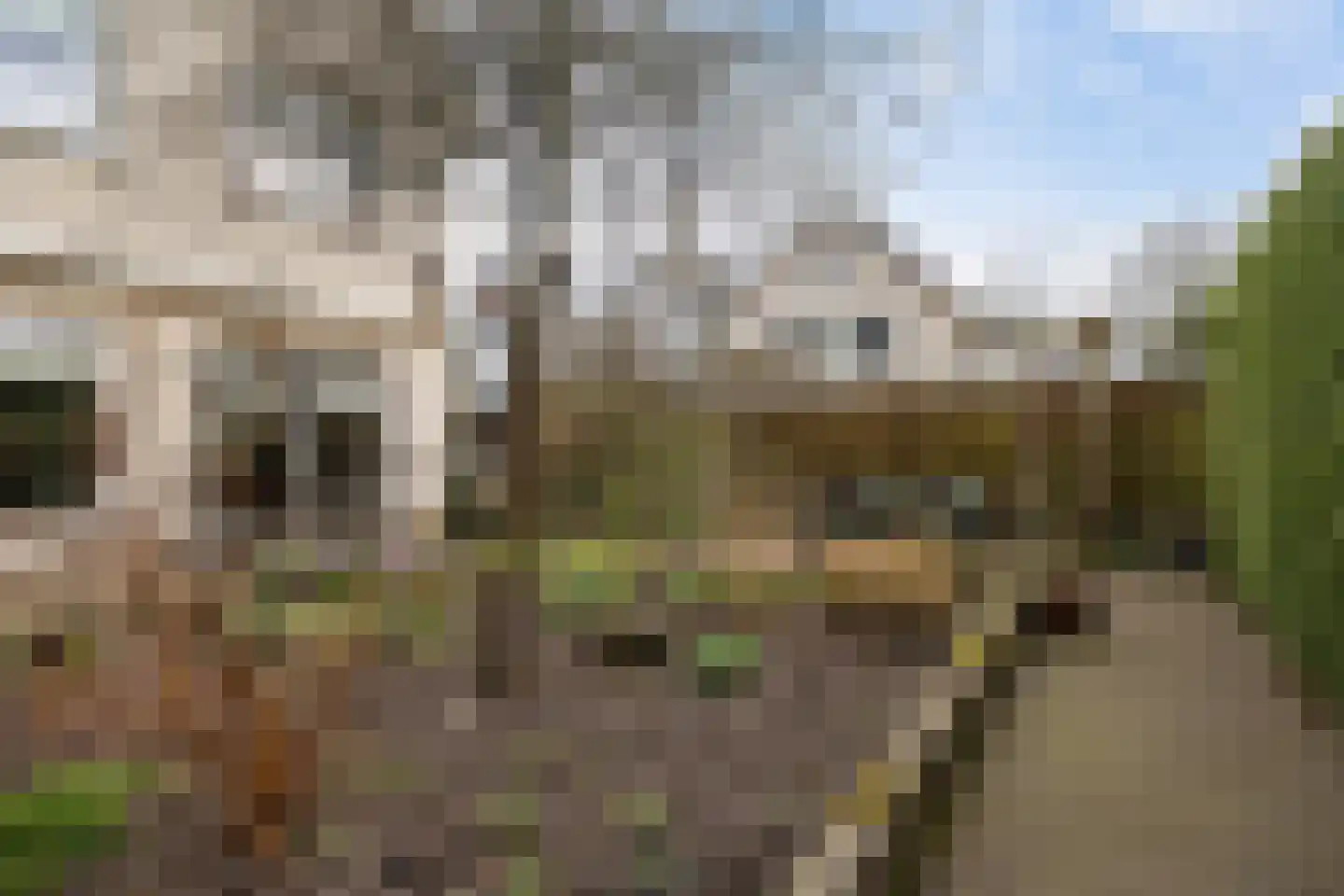 Clara Peeterslaan 14 Enschede thumbnail 44