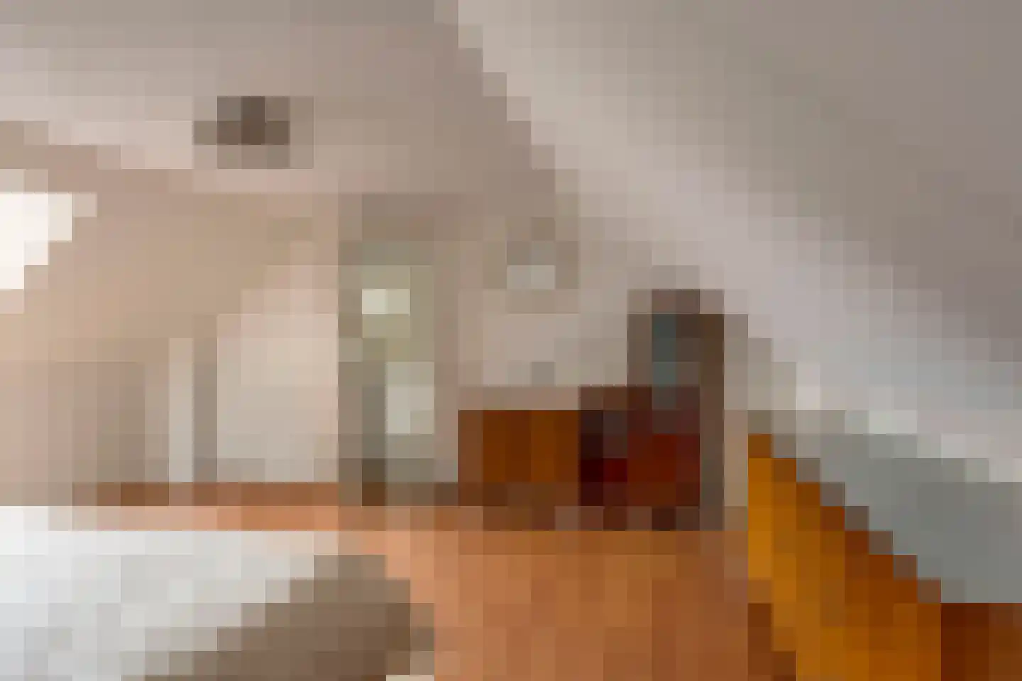 Clara Peeterslaan 8 Enschede thumbnail 31