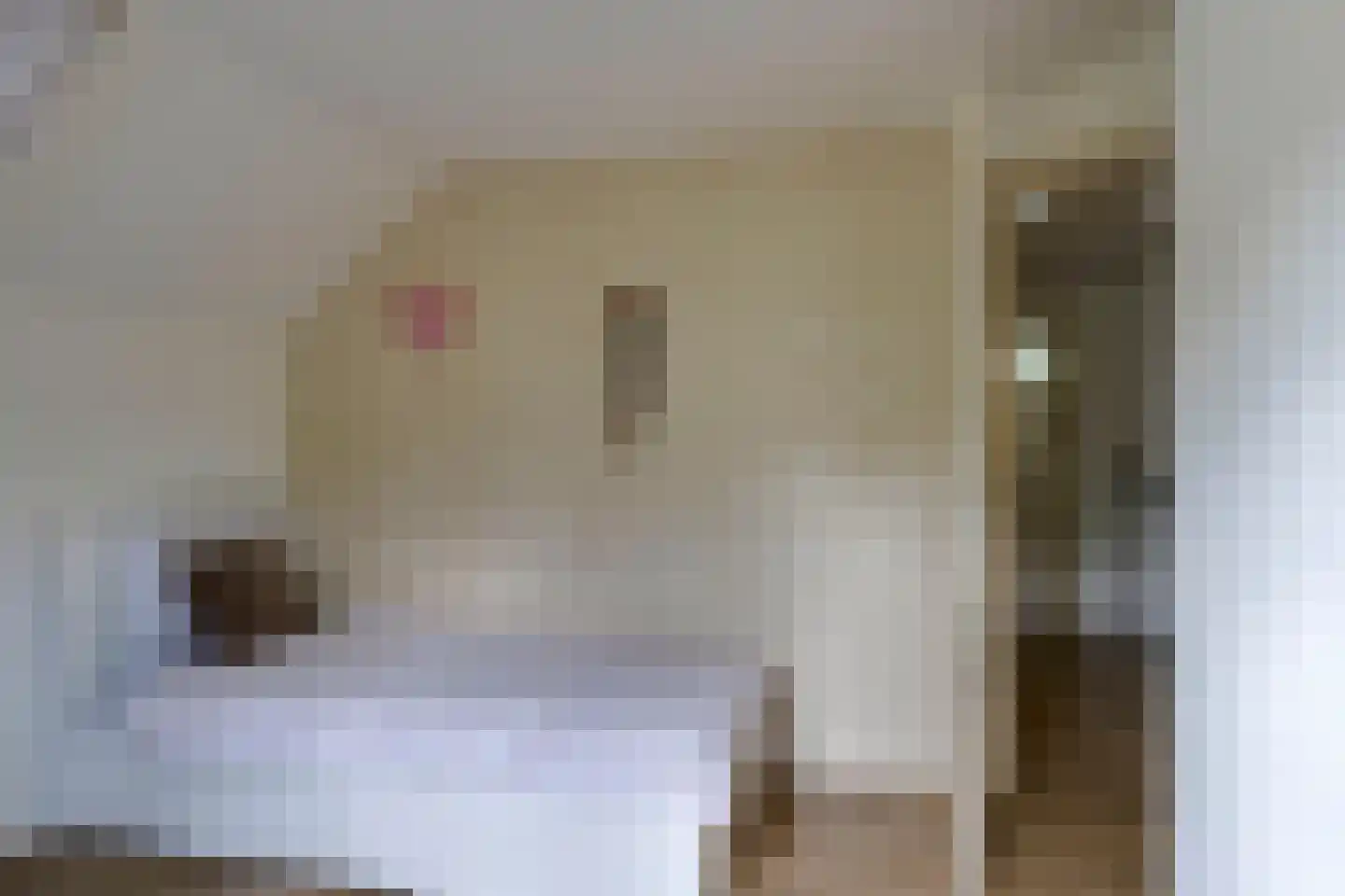 Clara Peeterslaan 8 Enschede thumbnail 35