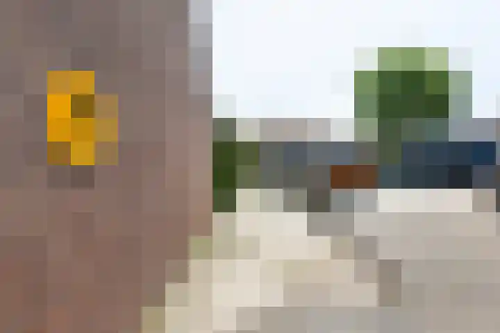 Clara's pad 3 Heinkenszand thumbnail 25