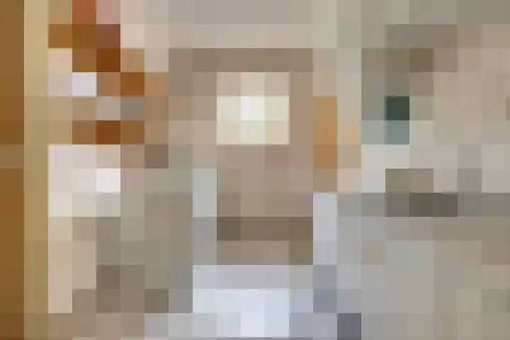 Clara's pad 52 Heinkenszand thumbnail 18