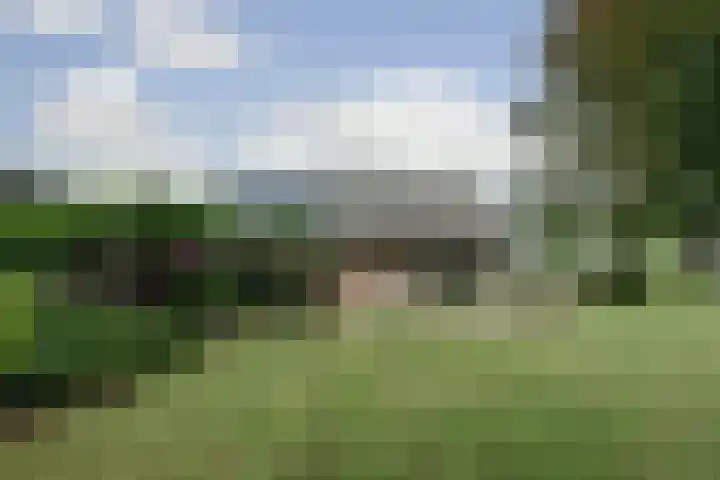 Clara's pad 52 Heinkenszand thumbnail 39