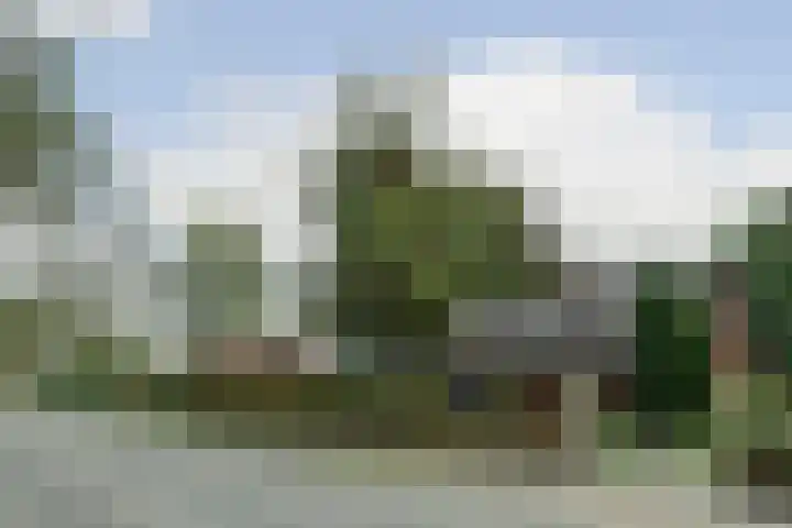 Clara's pad 52 Heinkenszand thumbnail 4