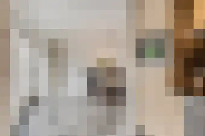 Clara van Delwigstraat 14 Doornenburg thumbnail 18