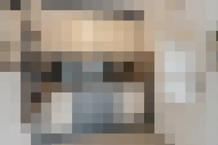 Clara van Delwigstraat 14 Doornenburg thumbnail 19