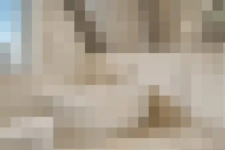 Clara van Delwigstraat 14 Doornenburg thumbnail 25