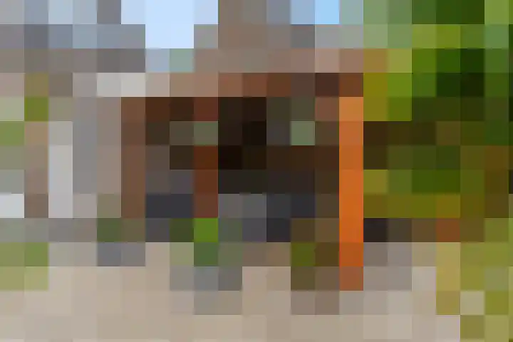 Clara van Delwigstraat 14 Doornenburg thumbnail 41