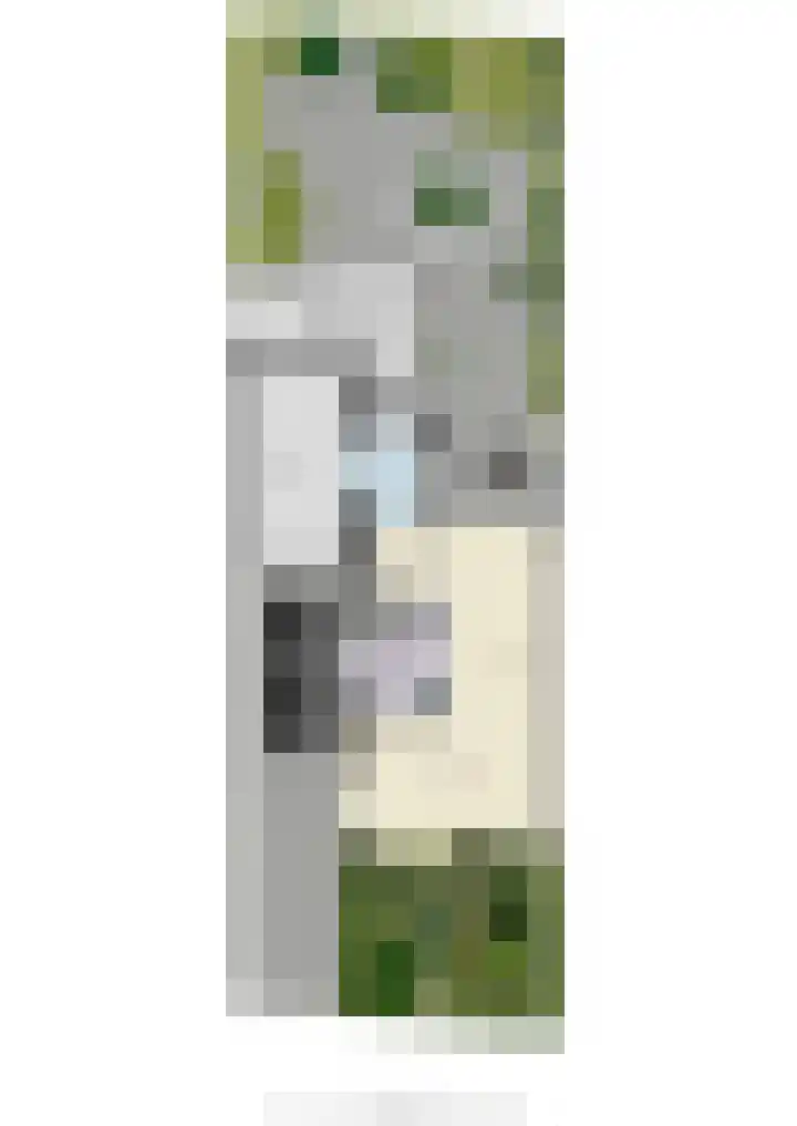 Clara van Delwigstraat 14 Doornenburg thumbnail 57
