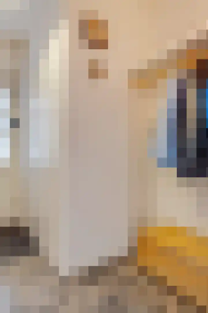 Clara van Delwigstraat 14 Doornenburg thumbnail 8
