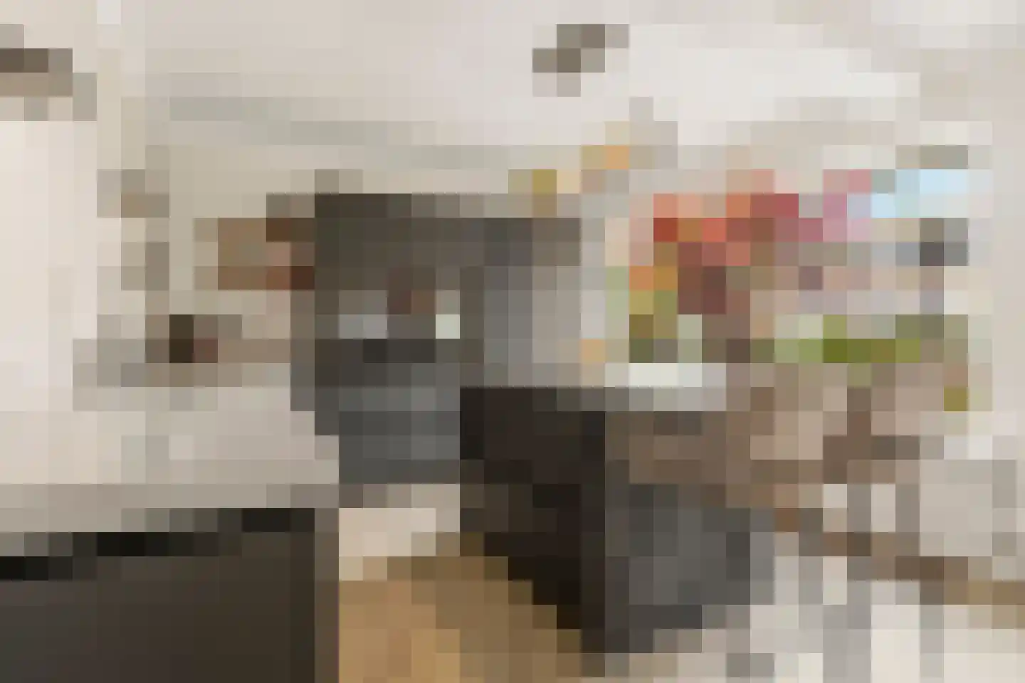 Clara van Delwigstraat 8 Doornenburg thumbnail 11