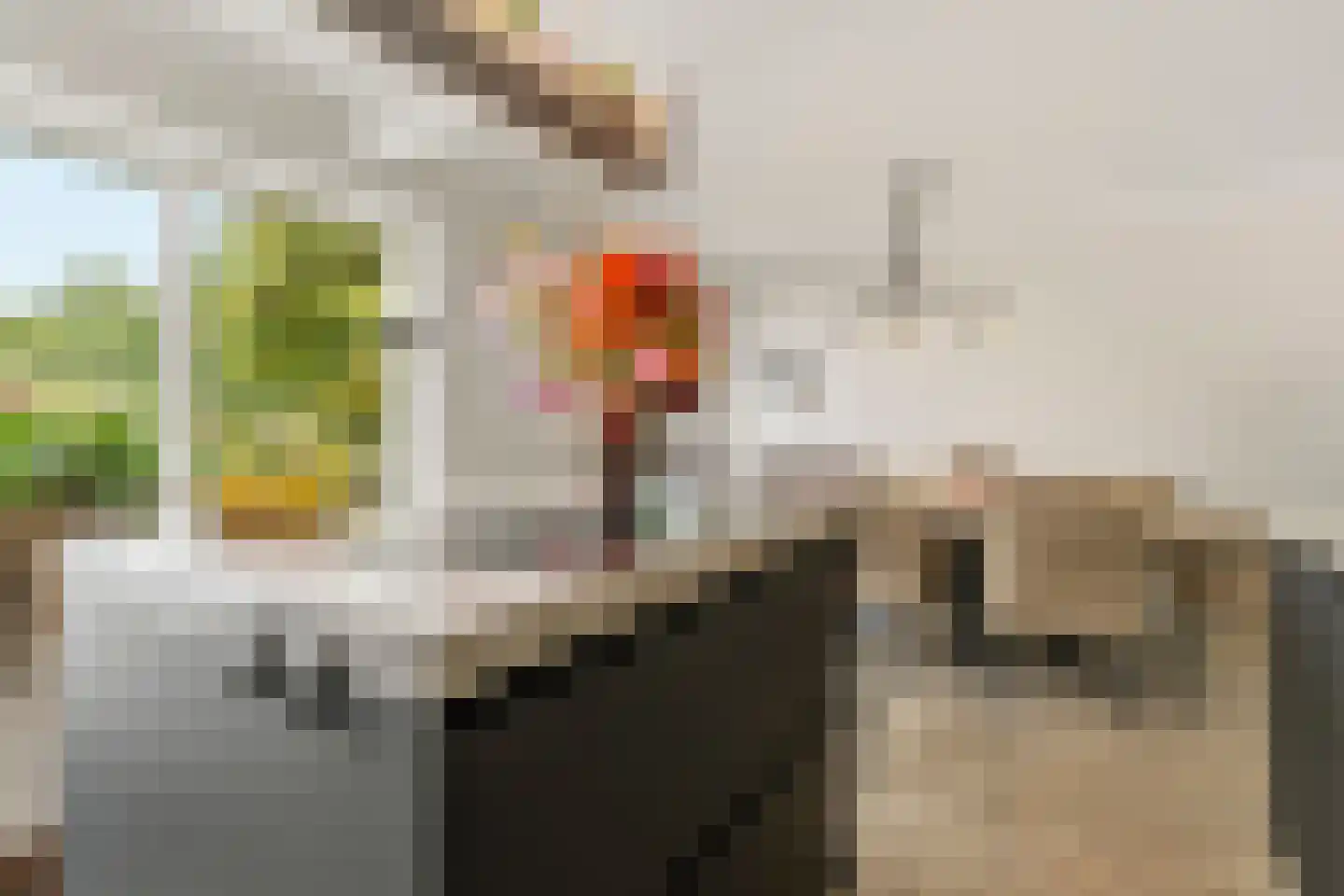 Clara van Delwigstraat 8 Doornenburg thumbnail 15