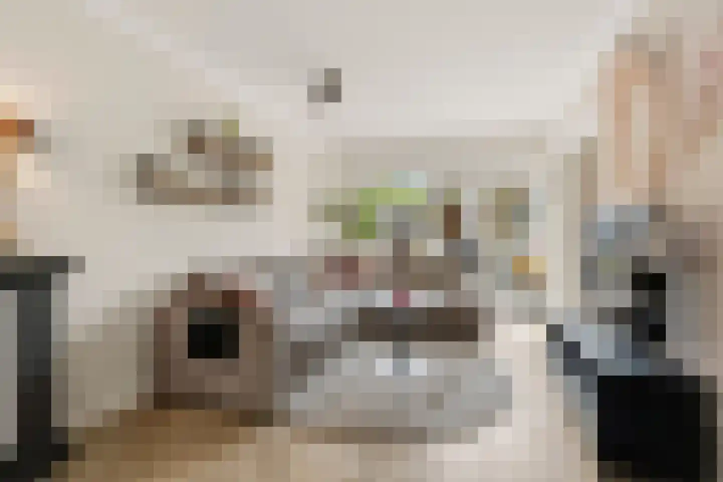 Clara van Delwigstraat 8 Doornenburg thumbnail 18