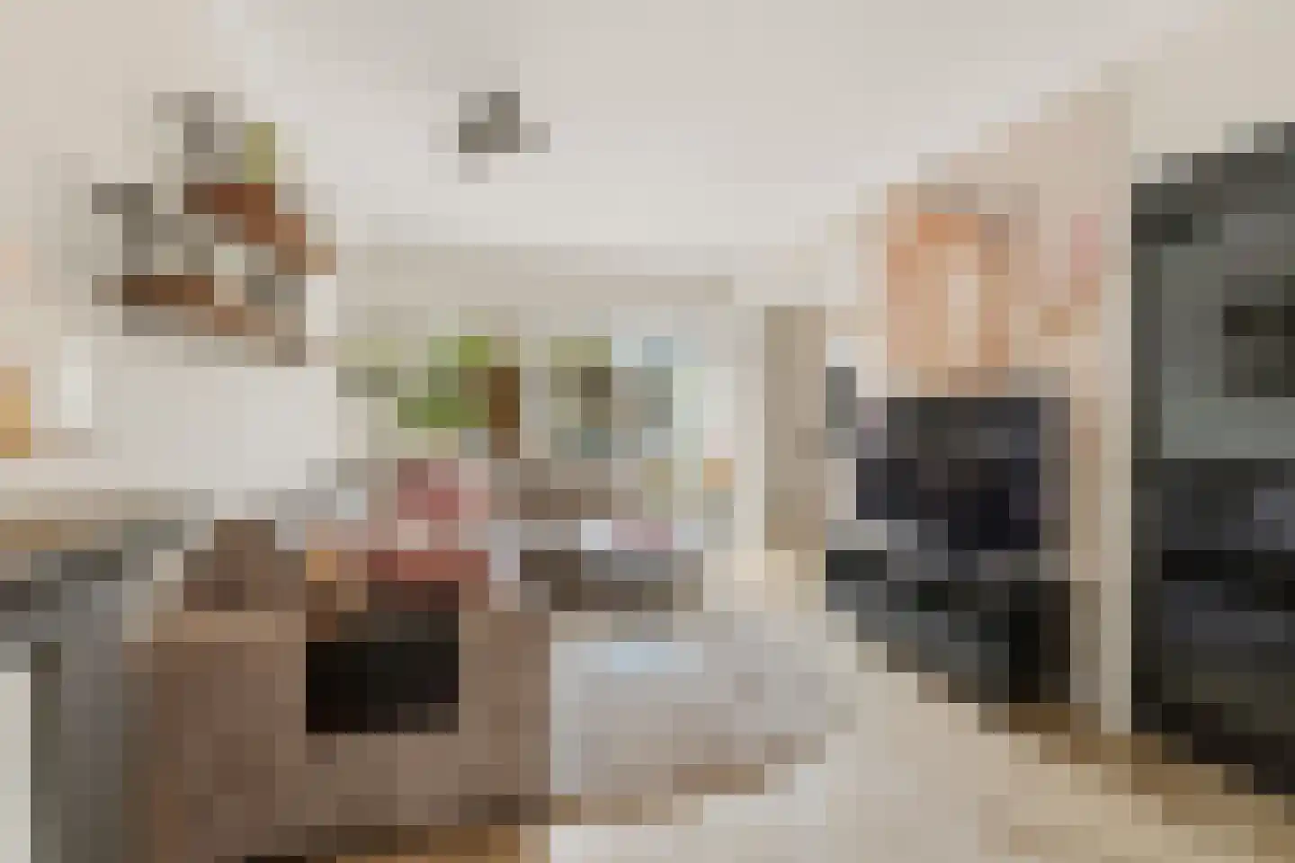 Clara van Delwigstraat 8 Doornenburg thumbnail 19
