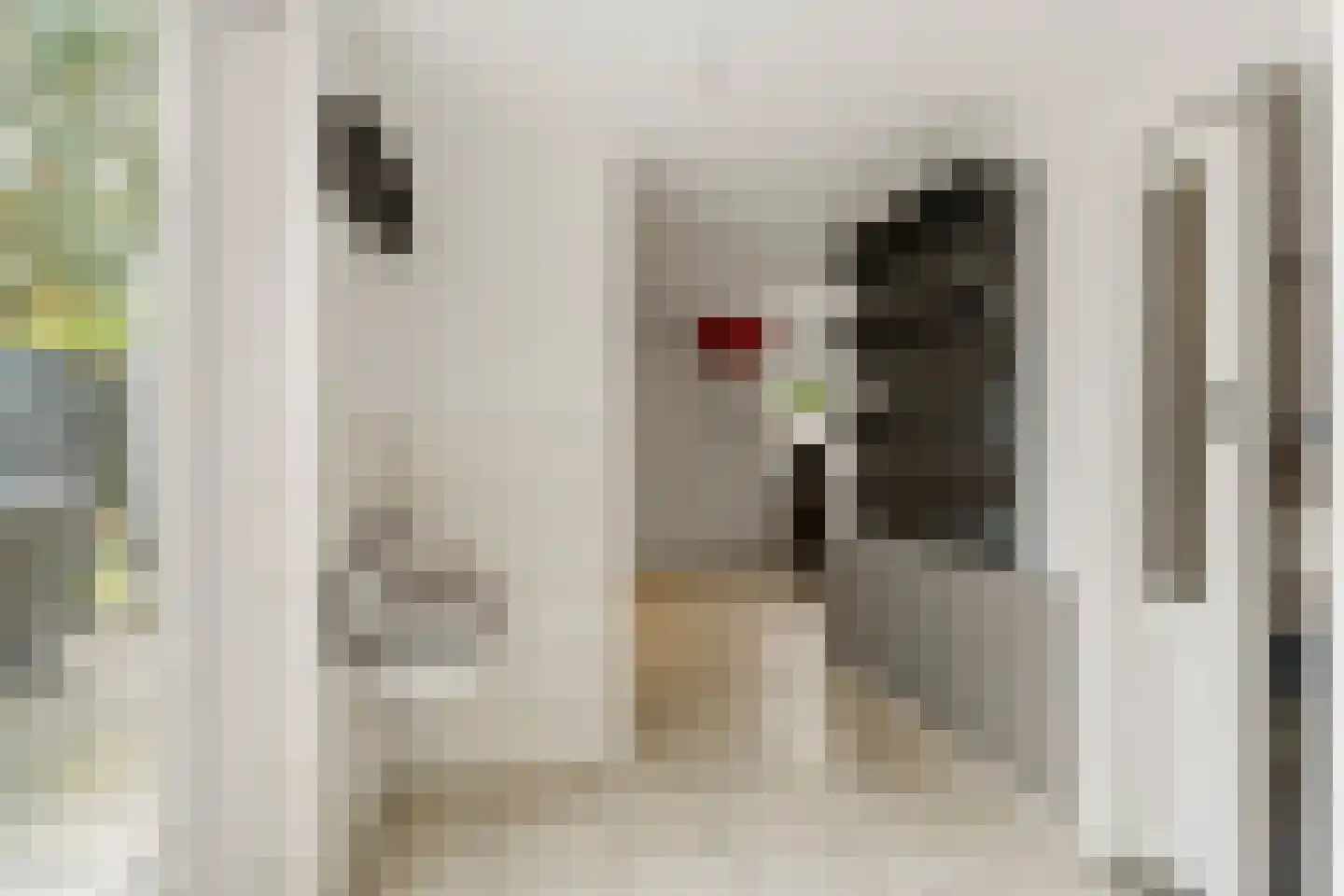 Clara van Delwigstraat 8 Doornenburg thumbnail 23