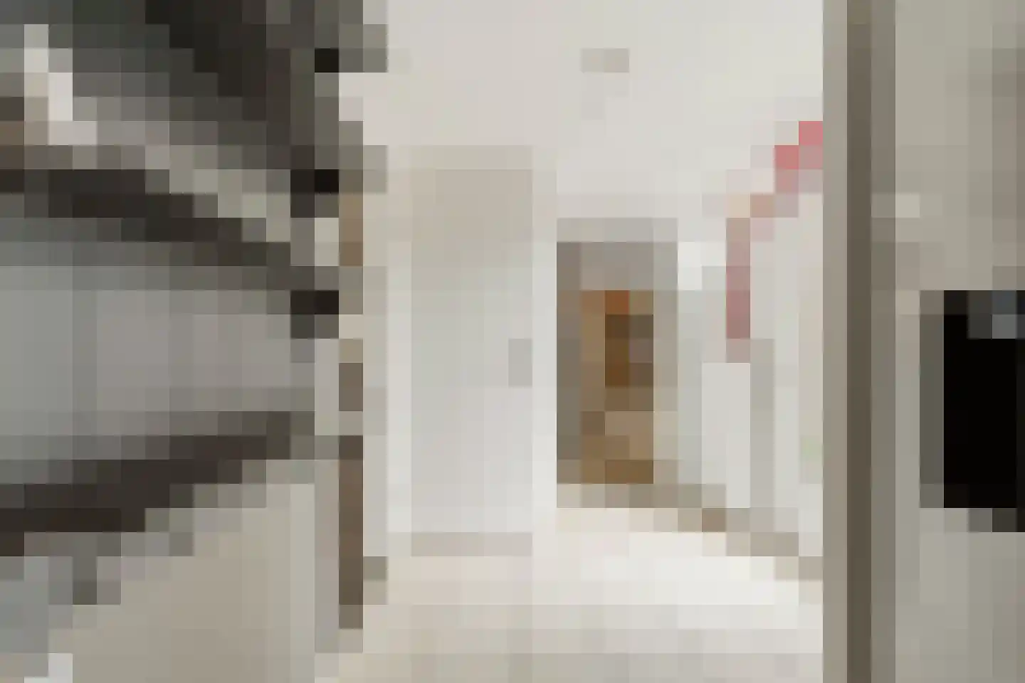 Clara van Delwigstraat 8 Doornenburg thumbnail 25