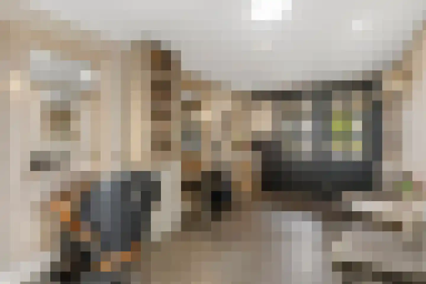 Clara van Delwigstraat 8 Doornenburg thumbnail 26