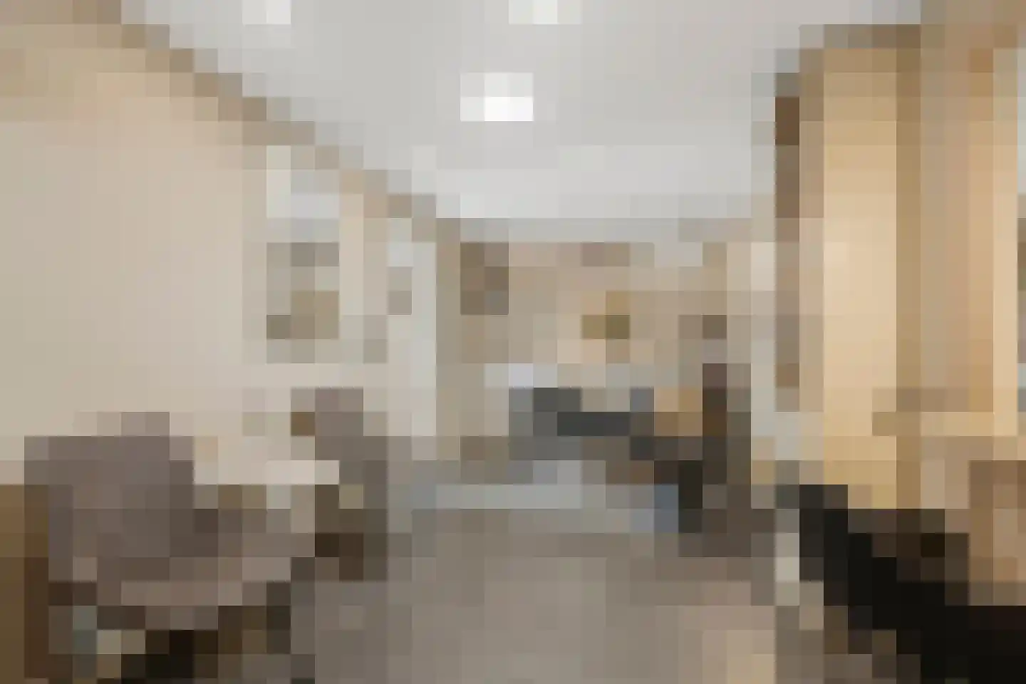 Clara van Delwigstraat 8 Doornenburg thumbnail 27