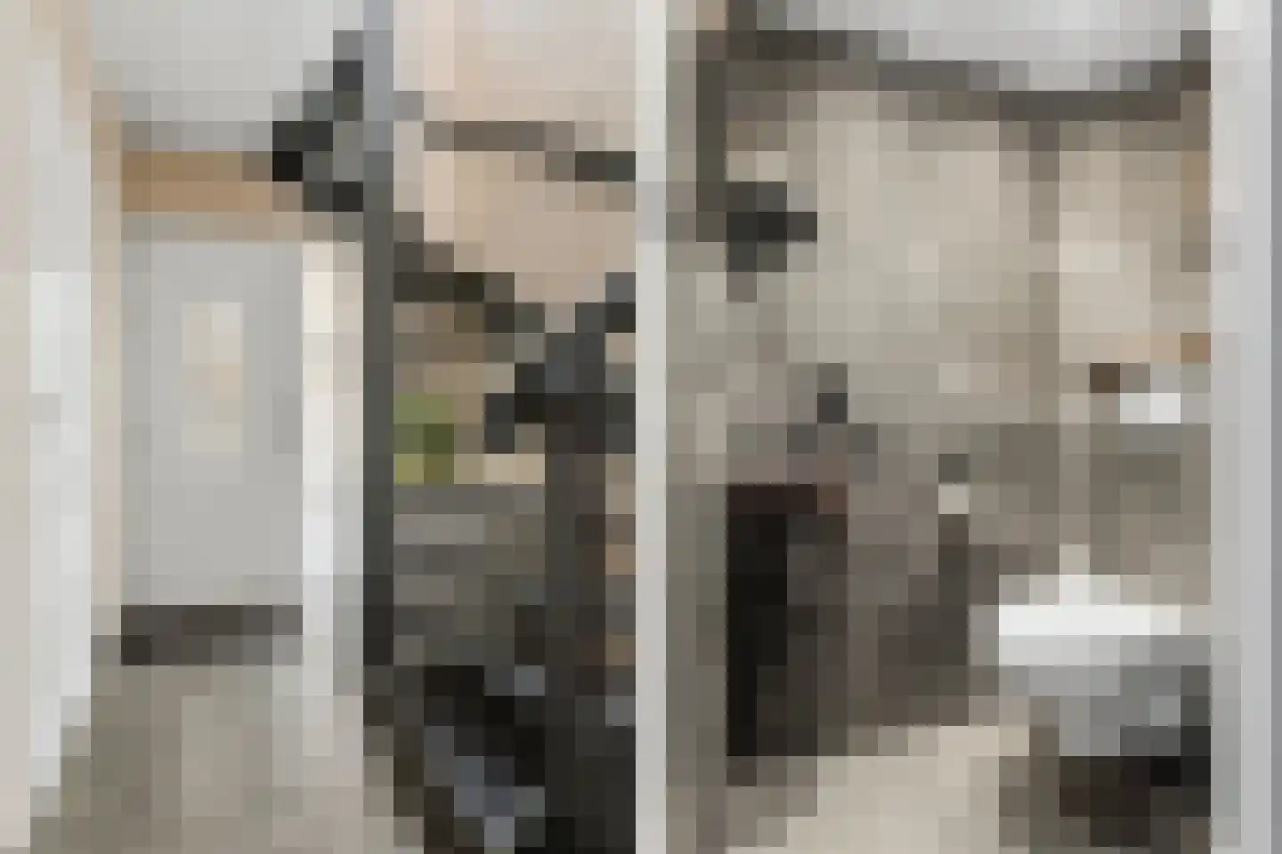 Clara van Delwigstraat 8 Doornenburg thumbnail 28