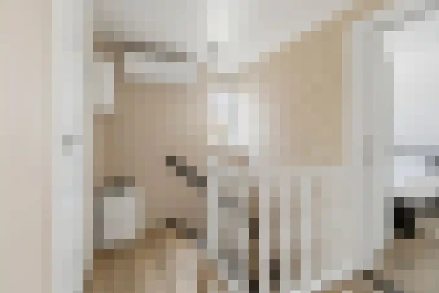Clara van Delwigstraat 8 Doornenburg thumbnail 31