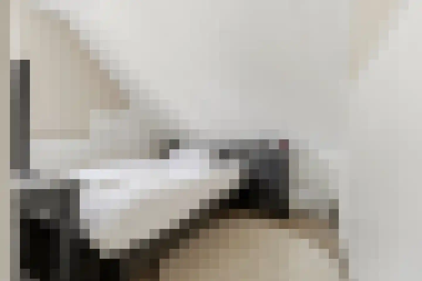 Clara van Delwigstraat 8 Doornenburg thumbnail 39