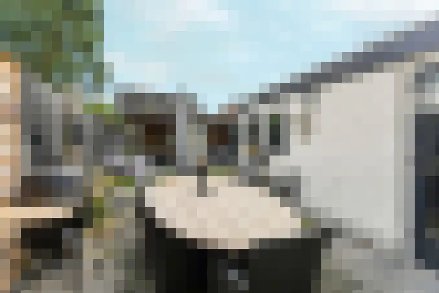 Clara van Delwigstraat 8 Doornenburg thumbnail 48