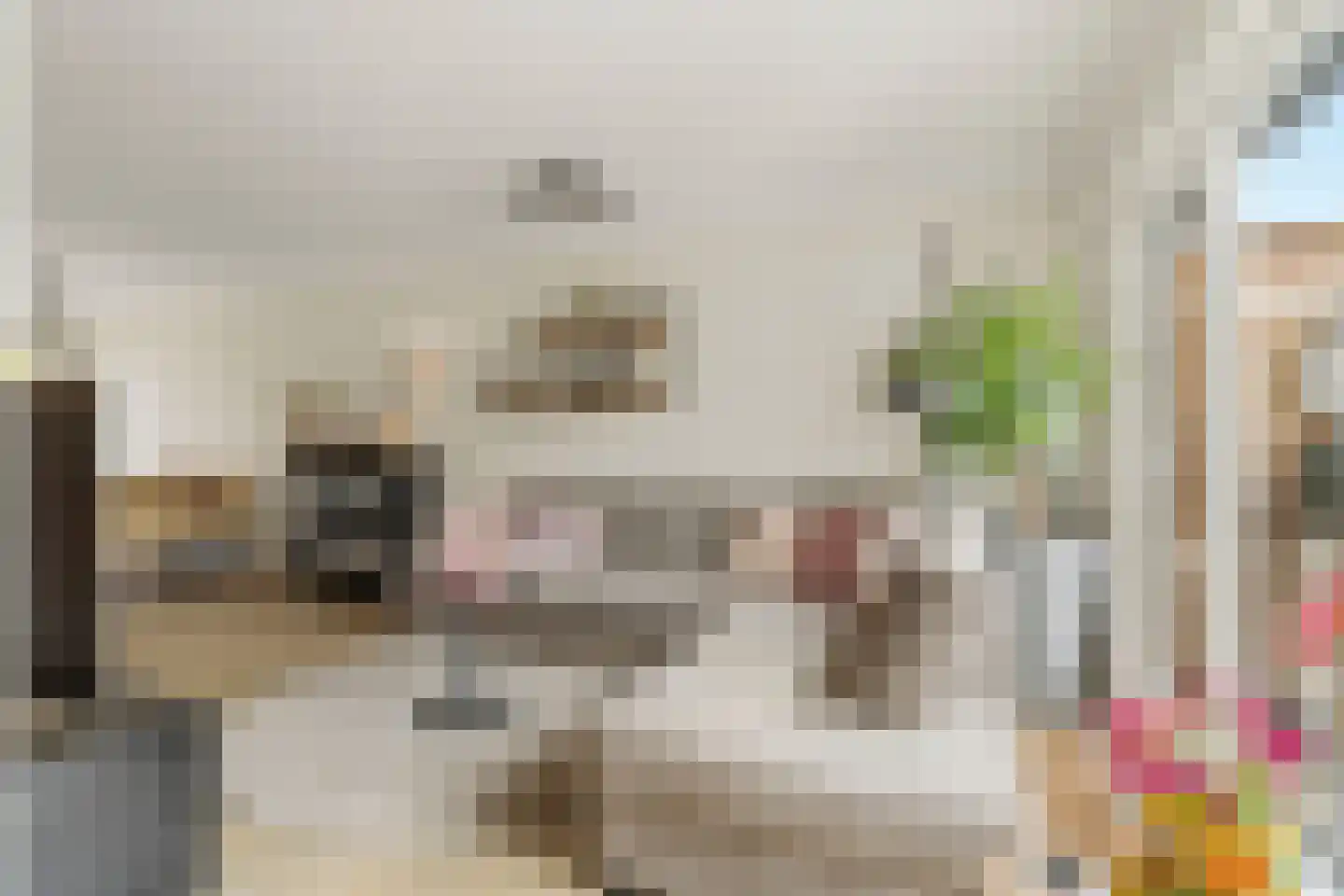 Clara van Delwigstraat 8 Doornenburg thumbnail 5
