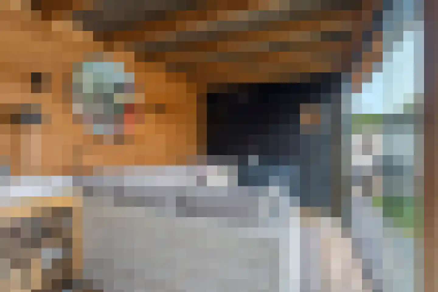 Clara van Delwigstraat 8 Doornenburg thumbnail 58