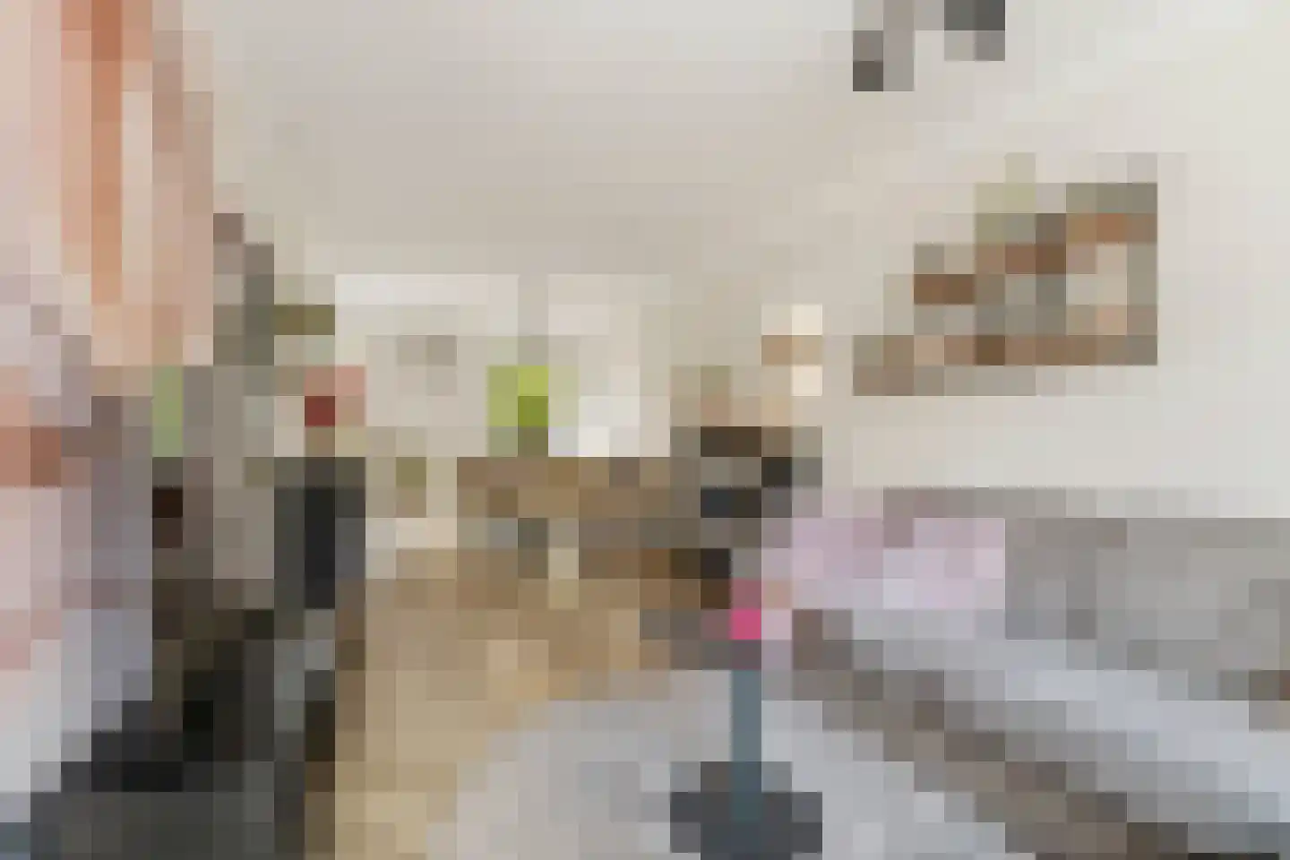 Clara van Delwigstraat 8 Doornenburg thumbnail 6