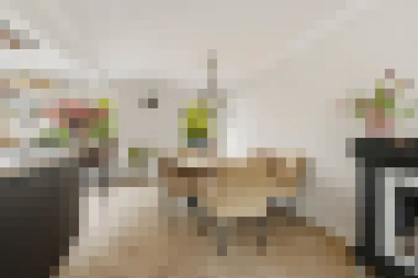 Clara van Delwigstraat 8 Doornenburg thumbnail 8