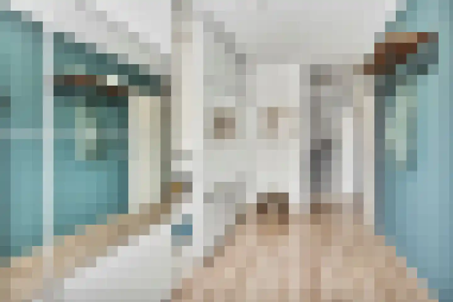 Clara Visserplaats 15 Leiden thumbnail 31