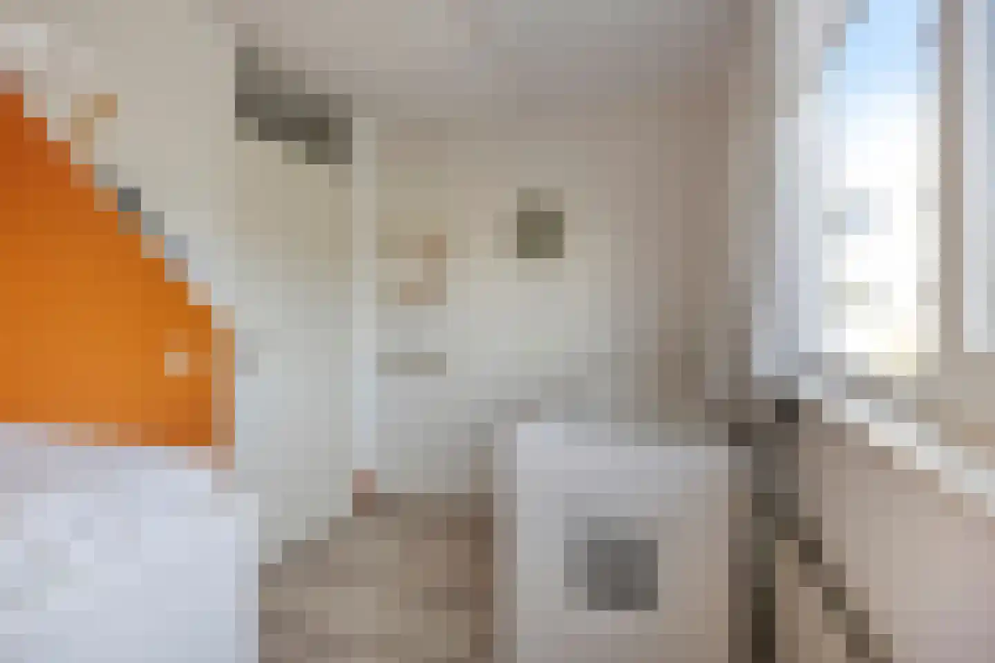 Clara Visserplaats 15 Leiden thumbnail 37
