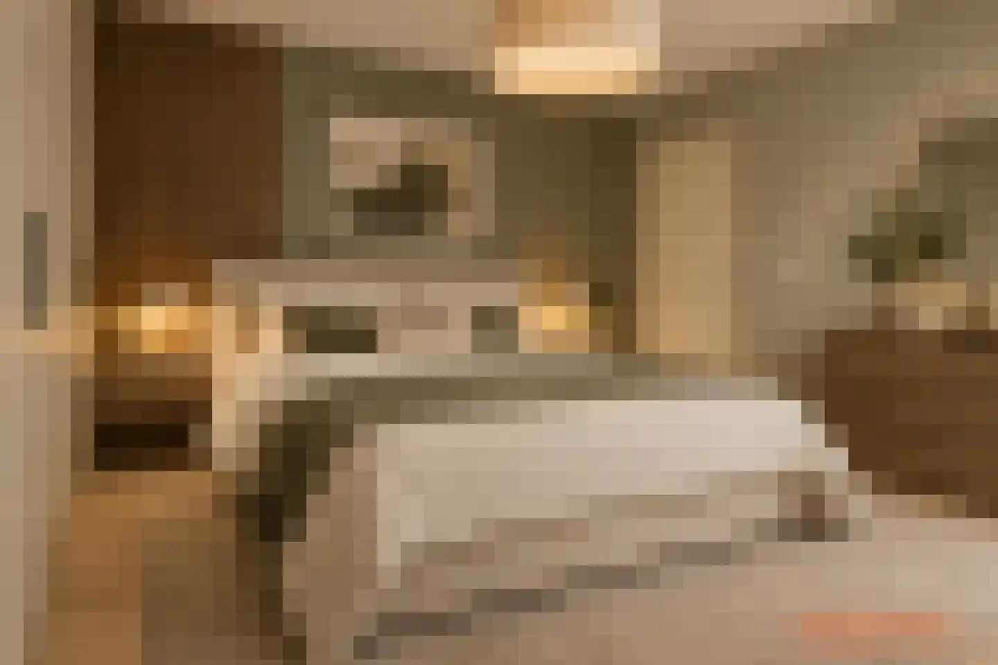 Clara Visserplaats 54 Leiden thumbnail 26