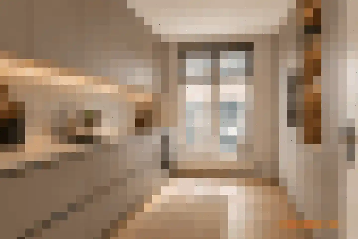 Clara Visserplaats 54 Leiden thumbnail 6