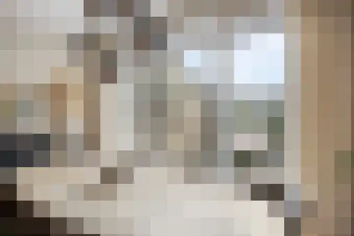 Clara Visserstraat 124 Purmerend thumbnail 26