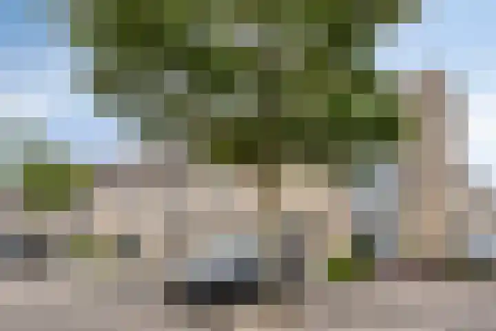 Clara Visserstraat 124 Purmerend thumbnail 8