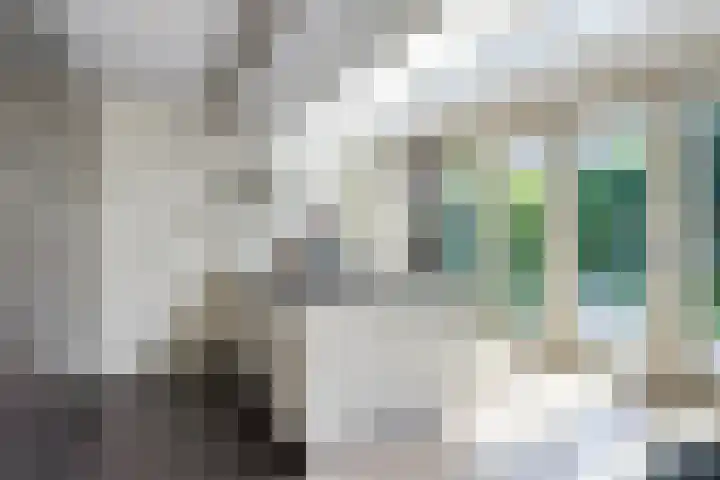 Clara Wichmannlaan 8 Nijmegen thumbnail 18